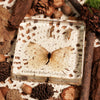 Insect Lifecycle Specimens | Conscious Craft